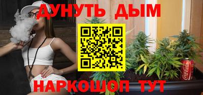 сатива Камень-на-Оби
