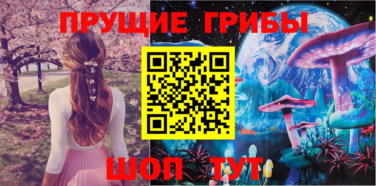 Дивногорск  Псилоцибиновые грибы GOLDEN TEACHER  цена наркотик  Вход с VPN 
